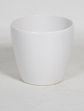 W�28�26